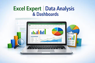 do professional microsoft excel data entry,