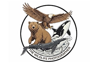 do creative wildlife photography logo