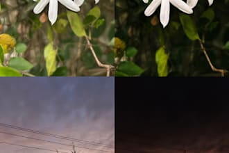 colour grade photos to your liking