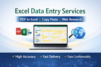 do accurate excel data entry, pdf to excel, data scrubbing, copy paste