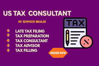 do tax planning, tax advisor, US tax id fast, secure, tax consultant