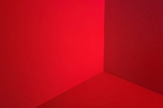 general consultation by video conference