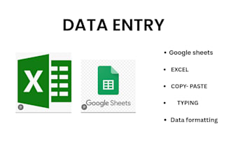 do fast and accurate data entry in excel and goggle sheet
