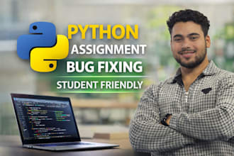 python assignment and project bug fixing service