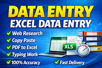 do a perfect data entry work in excel analytics