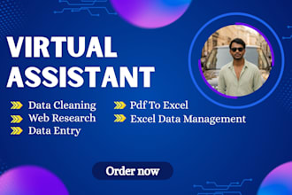 be your data entry, data cleaning and data merging expert