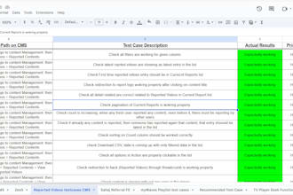 perform detailed manual QA testing for your software
