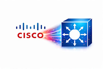 provide cisco networking support and troubleshooting