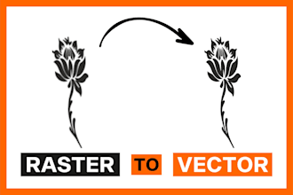 convert raster image to clean vector manually