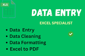 do accurate data entry, copy paste and excel work