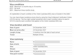offer reliable visa and immigration documentation support