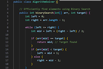 write, debug, and optimize custom java code and algorithms
