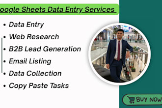 do professional data entry, web research and b2b lead generation
