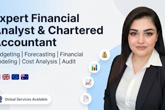be financial analyst for budgeting, forecasting, modeling