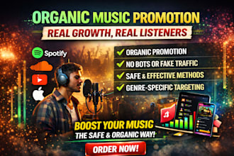 do professional soundcloud promotion for music track