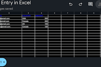 do professional data entry, excel task, and IT support
