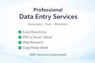 do accurate data entry, excel, pdf conversion, mis report,