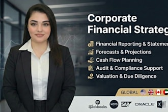 provide corporate finance strategy, audit compliance advise
