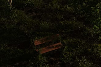 sculpt high resolution characters and create photoreal environment render