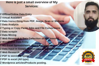 do product data entry specialists and data entry