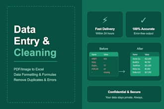 clean and organize excel data, pdf to excel conversion