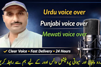 do professional urdu,punjabi and mewati voice over for you videos