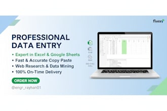 do professional data entry, google sheet, excel, word,c to p