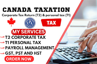 e file canada corporation tax, t2 canada, business tax canada, personal tax t1