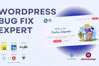 fix wordpress errors and bugs on your website