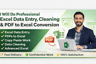 clean format and organize excel data professionally