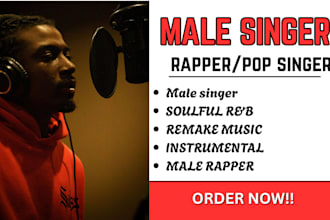 be your songwriter, male singer, rapper, pop, afro, music production