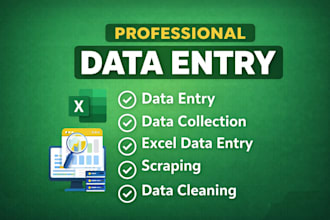 do data entry, data collection, web scraping exce cleaning