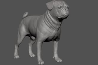 sculpt 3d custom pet model, pet likeness model, memorial pet sculpture, 3d print