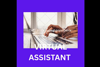 reliable virtual assistant data entry and online tasks