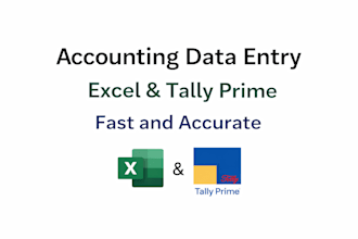 accounting data entry using excel and tally