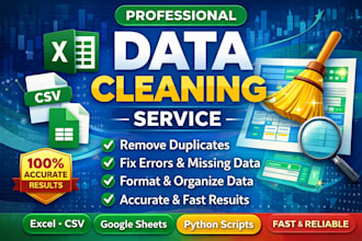 iwill do professional data cleaning in excel, google sheets