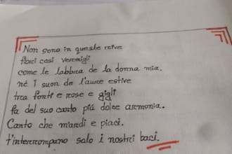 write anything with my beautiful and elegant handwriting