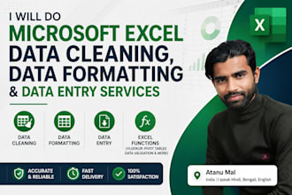 do microsoft excel data cleaning,formatting pdf data entry