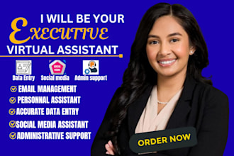 be personal executive virtual assistant data entry and administrative support