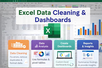 do data cleaning, excel dashboards and data analysis