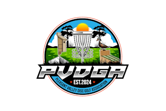 create high quality and beautiful disc golf logo design