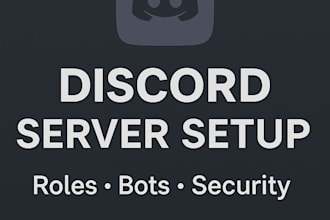 set up a professional discord server