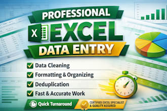 do accurate data entry,excel formatting and spreadsheet cleanup
