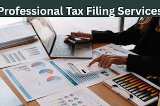 prepare and efile your US tax return 1040, form 5472, 1120, 1065, business tax
