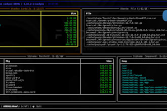 create custom python scripts and automation solutions