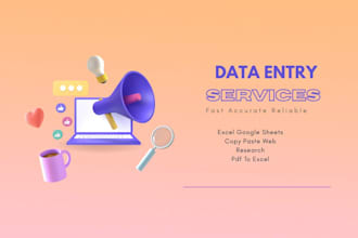 do professional data entry services