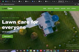 expert front end website developer