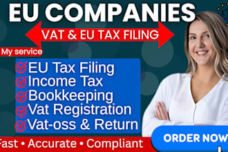 handle eu tax and vat registration, german tax filing, income tax, oss, ioss
