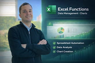 create professional excel spreadsheets, formulas and charts