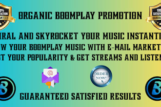 do professional organic boomplay music promotion using email marketing campaign